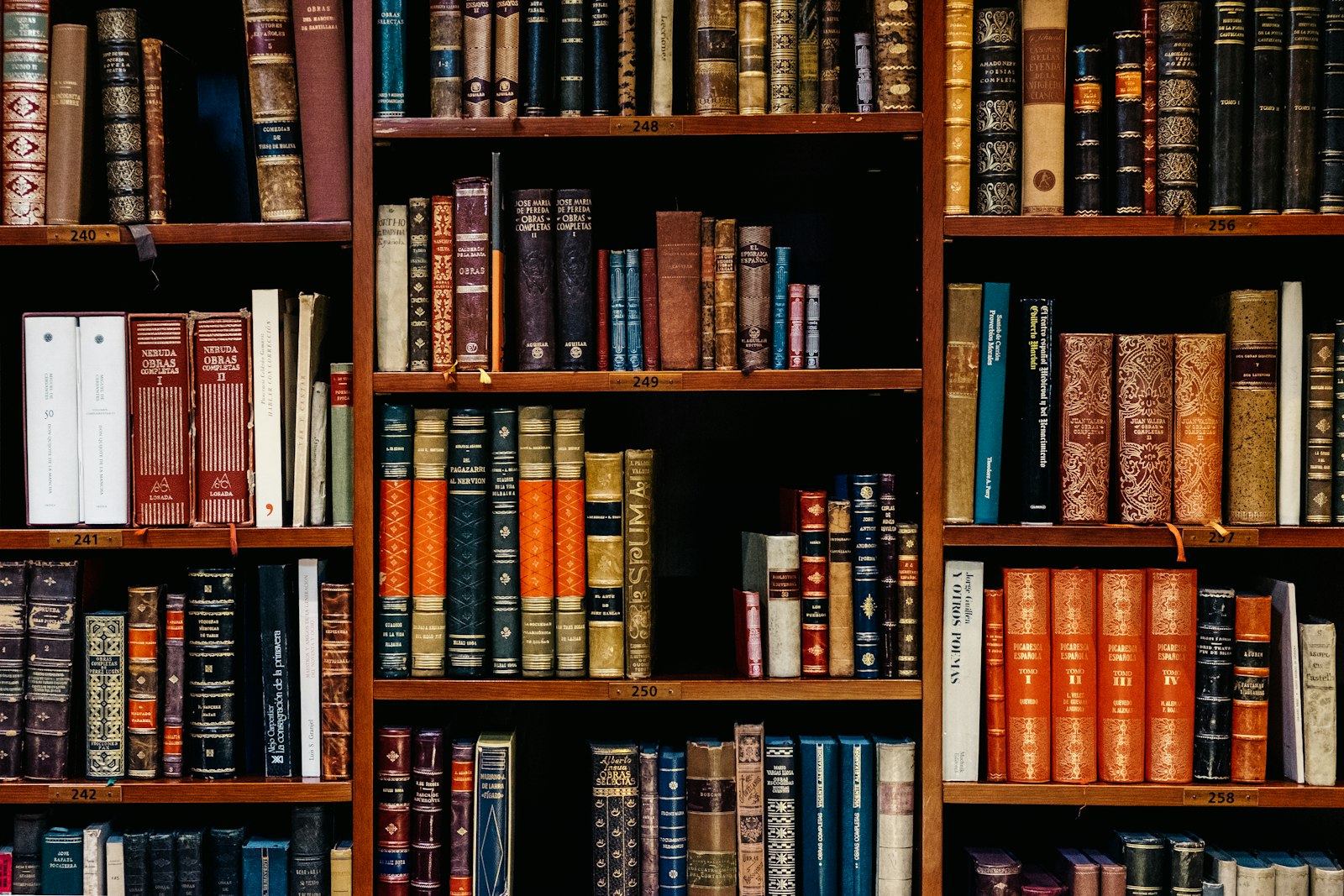 An author reviewing a manuscript with a publishing consultant